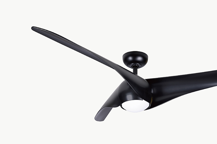 飛燕 Swift ∣56"