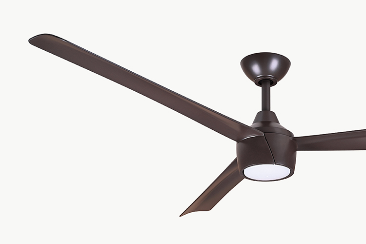 遊隼 Falcon ∣56"